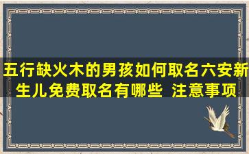 五行缺火木的男孩如何取名六安新生儿免费取名有哪些  注意事项